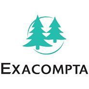 EXACOMPTA Fiches bristol, A7